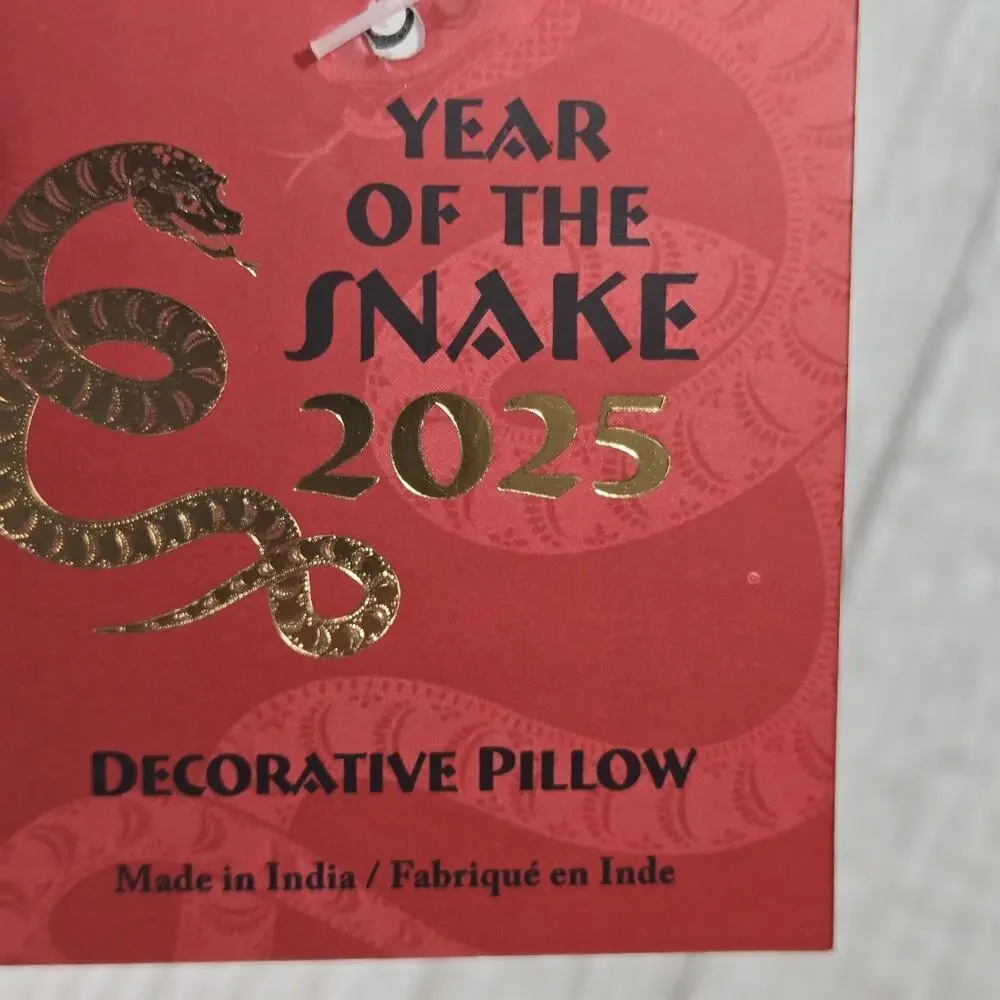 Chinese New Year 2025 Dragon Red 17 In Square GOLD Beaded Toss Pillow NWT Asian